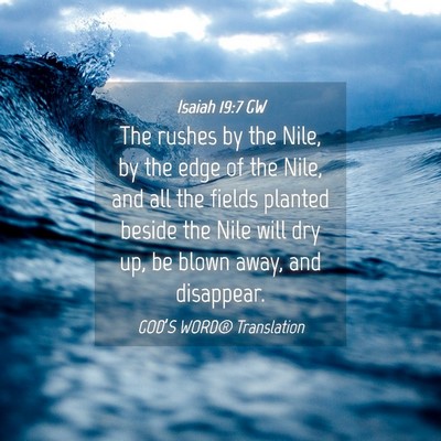 Picture 04 - Isaiah 19:7 GW - The rushes by the Nile, by the edge of the Nile, - Bible Verse Picture