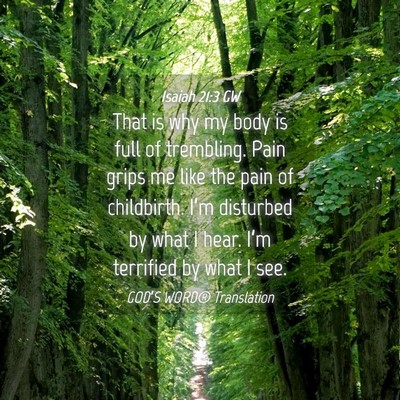Picture 04 - Isaiah 21:3 GW - That is why my body is full of trembling. Pain - Bible Verse Picture