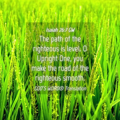 Picture 04 - Isaiah 26:7 GW - The path of the righteous is level. O Upright - Bible Verse Picture