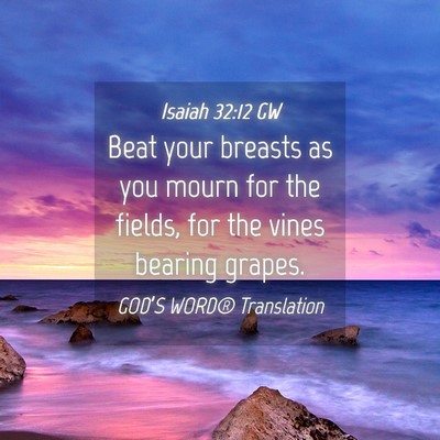 Picture 04 - Isaiah 32:12 GW - Beat your breasts as you mourn for the fields, - Bible Verse Picture