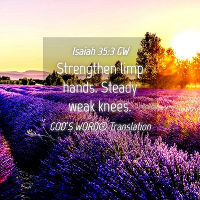Picture 04 - Isaiah 35:3 GW - Strengthen limp hands. Steady weak - Bible Verse Picture