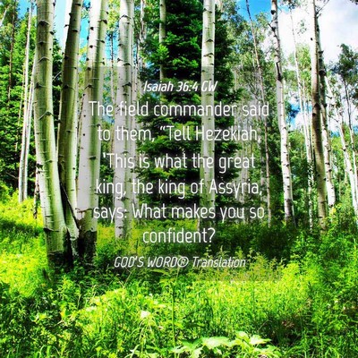 Picture 04 - Isaiah 36:4 GW - The field commander said to them, “Tell - Bible Verse Picture