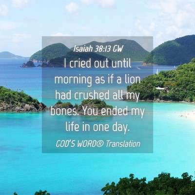 Picture 04 - Isaiah 38:13 GW - I cried out until morning as if a lion had - Bible Verse Picture