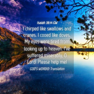 Picture 04 - Isaiah 38:14 GW - I chirped like swallows and cranes. I cooed like - Bible Verse Picture