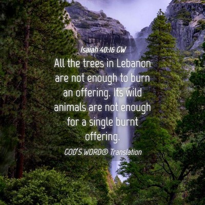 Picture 04 - Isaiah 40:16 GW - All the trees in Lebanon are not enough to burn - Bible Verse Picture