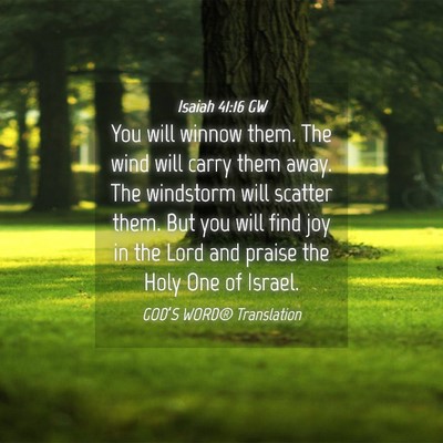 Picture 04 - Isaiah 41:16 GW - You will winnow them. The wind will carry them - Bible Verse Picture