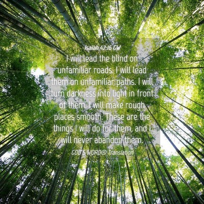 Picture 04 - Isaiah 42:16 GW - I will lead the blind on unfamiliar roads. I will - Bible Verse Picture
