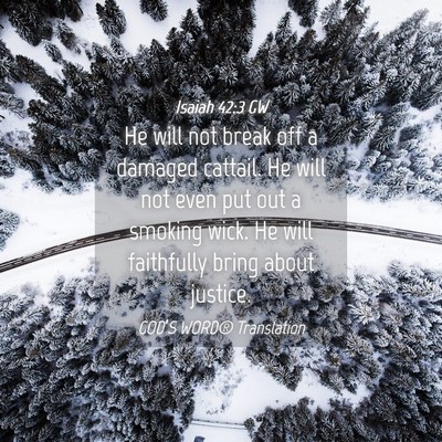 Picture 04 - Isaiah 42:3 GW - He will not break off a damaged cattail. He will - Bible Verse Picture