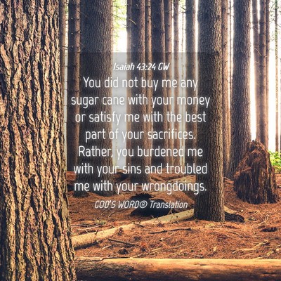 Picture 04 - Isaiah 43:24 GW - You did not buy me any sugar cane with your money - Bible Verse Picture