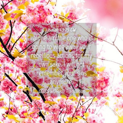 Picture 04 - Isaiah 43:25 GW - I alone am the one who is going to wipe away your - Bible Verse Picture