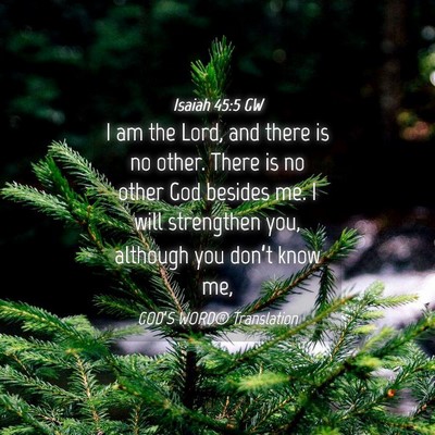 Picture 04 - Isaiah 45:5 GW - I am the Lord, and there is no other. There is no - Bible Verse Picture