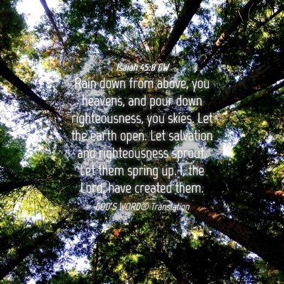 Picture 04 - Isaiah 45:8 GW - Rain down from above, you heavens, and pour down - Bible Verse Picture