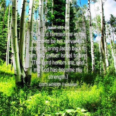 Picture 04 - Isaiah 49:5 GW - The Lord formed me in the womb to be his servant - Bible Verse Picture