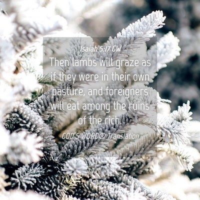 Picture 04 - Isaiah 5:17 GW - Then lambs will graze as if they were in their - Bible Verse Picture