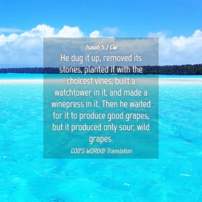 Picture 04 - Isaiah 5:2 GW - He dug it up, removed its stones, planted it with - Bible Verse Picture