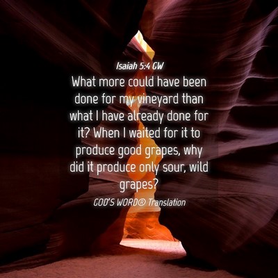 Picture 04 - Isaiah 5:4 GW - What more could have been done for my vineyard - Bible Verse Picture