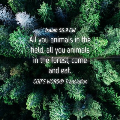 Picture 04 - Isaiah 56:9 GW - All you animals in the field, all you animals in - Bible Verse Picture