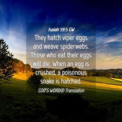 Picture 04 - Isaiah 59:5 GW - They hatch viper eggs and weave spiderwebs. Those - Bible Verse Picture