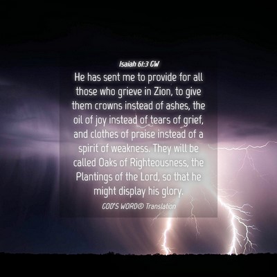 Picture 04 - Isaiah 61:3 GW - He has sent me to provide for all those who - Bible Verse Picture