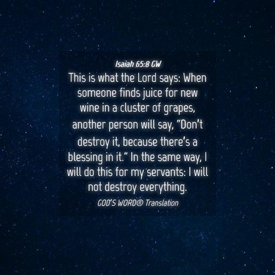 Picture 04 - Isaiah 65:8 GW - This is what the Lord says: When someone finds - Bible Verse Picture