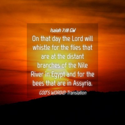Picture 04 - Isaiah 7:18 GW - On that day the Lord will whistle for the flies - Bible Verse Picture