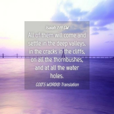 Picture 04 - Isaiah 7:19 GW - All of them will come and settle in the deep - Bible Verse Picture