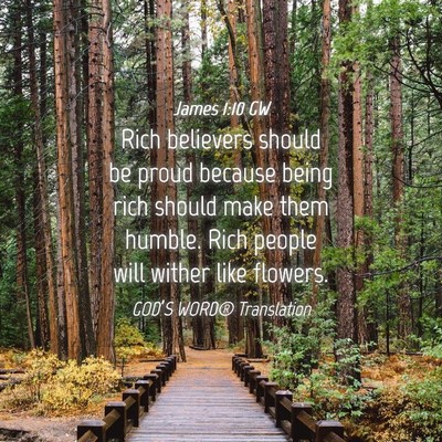 Picture 04 - James 1:10 GW - Rich believers should be proud because being rich - Bible Verse Picture