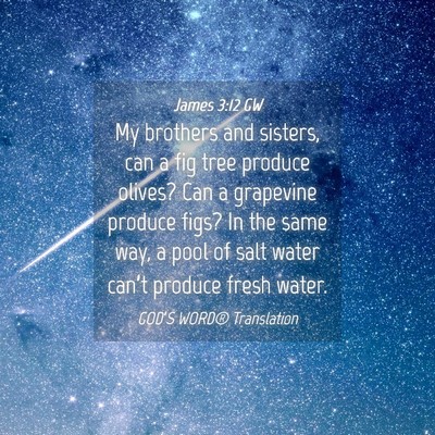 Picture 04 - James 3:12 GW - My brothers and sisters, can a fig tree produce - Bible Verse Picture