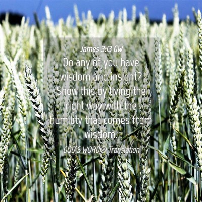 Picture 04 - James 3:13 GW - Do any of you have wisdom and insight? Show this - Bible Verse Picture