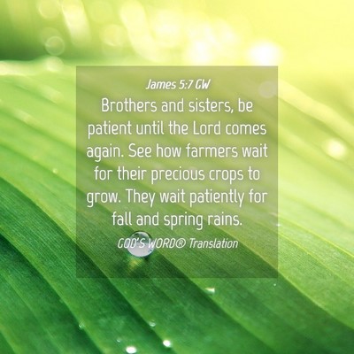 Picture 04 - James 5:7 GW - Brothers and sisters, be patient until the Lord - Bible Verse Picture