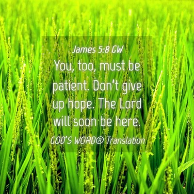 Picture 04 - James 5:8 GW - You, too, must be patient. Don’t give up hope. - Bible Verse Picture