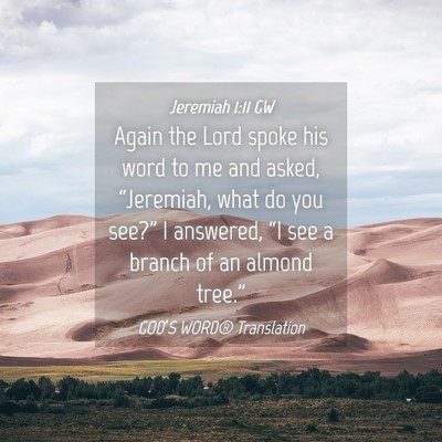 Picture 04 - Jeremiah 1:11 GW - Again the Lord spoke his word to me and asked, - Bible Verse Picture