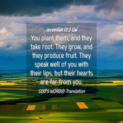 Picture 04 - Jeremiah 12:2 GW - You plant them, and they take root. They grow, - Bible Verse Picture