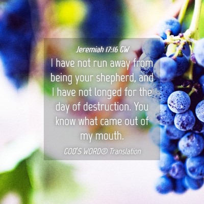 Picture 04 - Jeremiah 17:16 GW - I have not run away from being your shepherd, and - Bible Verse Picture