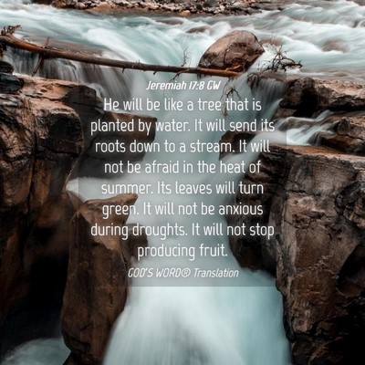 Picture 04 - Jeremiah 17:8 GW - He will be like a tree that is planted by water. - Bible Verse Picture