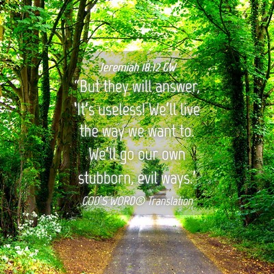 Picture 04 - Jeremiah 18:12 GW - “But they will answer, ‘It’s useless! - Bible Verse Picture