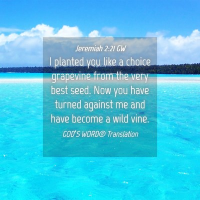 Picture 04 - Jeremiah 2:21 GW - I planted you like a choice grapevine from the - Bible Verse Picture