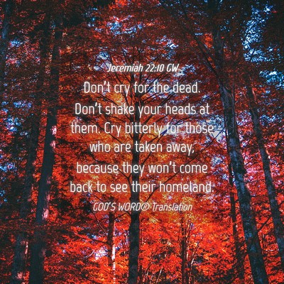 Picture 04 - Jeremiah 22:10 GW - Don’t cry for the dead. Don’t shake your - Bible Verse Picture
