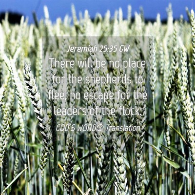 Picture 04 - Jeremiah 25:35 GW - There will be no place for the shepherds to flee, - Bible Verse Picture