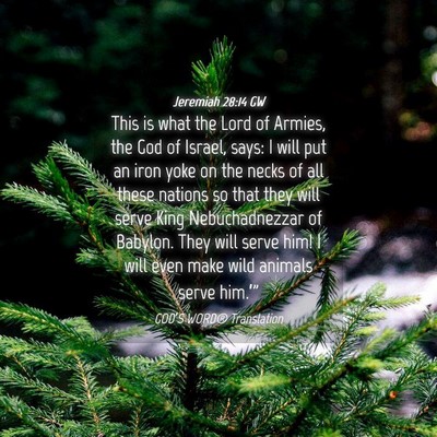 Picture 04 - Jeremiah 28:14 GW - This is what the Lord of Armies, the God of - Bible Verse Picture