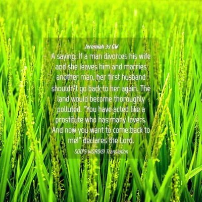 Picture 04 - Jeremiah 3:1 GW - A saying: If a man divorces his wife and she - Bible Verse Picture