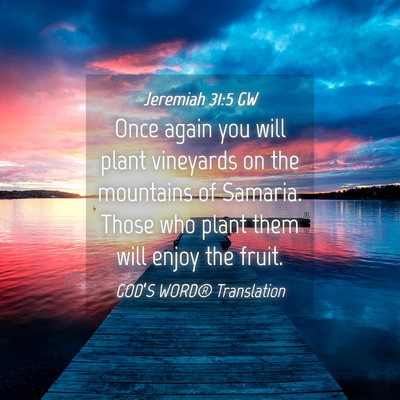 Picture 04 - Jeremiah 31:5 GW - Once again you will plant vineyards on the - Bible Verse Picture