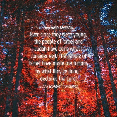 Picture 04 - Jeremiah 32:30 GW - Ever since they were young, the people of Israel - Bible Verse Picture