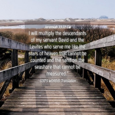 Picture 04 - Jeremiah 33:22 GW - I will multiply the descendants of my servant - Bible Verse Picture