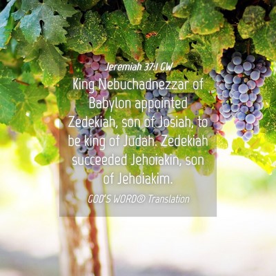 Picture 04 - Jeremiah 37:1 GW - King Nebuchadnezzar of Babylon appointed - Bible Verse Picture