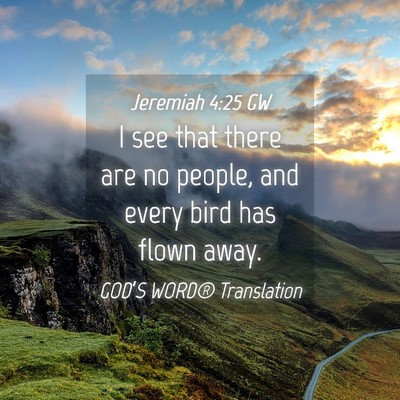 Picture 04 - Jeremiah 4:25 GW - I see that there are no people, and every bird - Bible Verse Picture