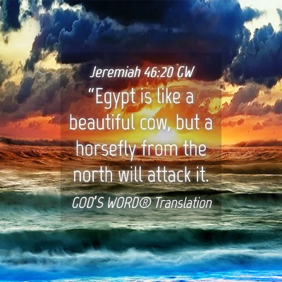 Picture 04 - Jeremiah 46:20 GW - “Egypt is like a beautiful cow, but a horsefly - Bible Verse Picture
