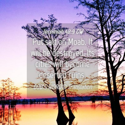 Picture 04 - Jeremiah 48:9 GW - Put salt on Moab. It will be destroyed. Its - Bible Verse Picture