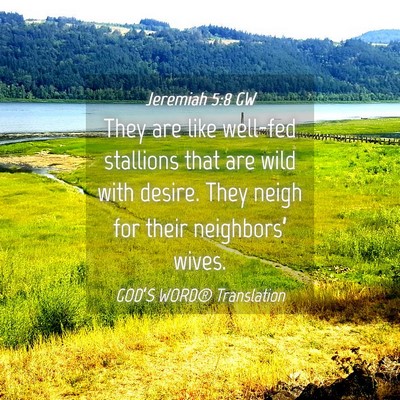 Picture 04 - Jeremiah 5:8 GW - They are like well-fed stallions that are wild - Bible Verse Picture