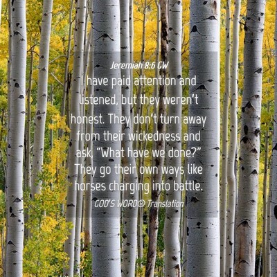 Picture 04 - Jeremiah 8:6 GW - I have paid attention and listened, but they - Bible Verse Picture